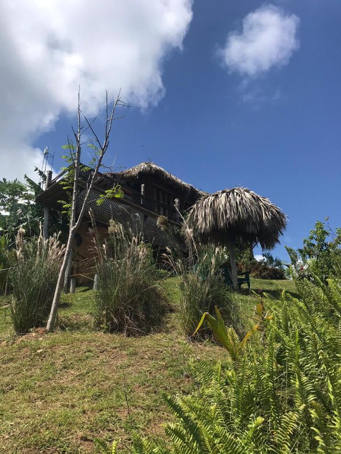 فيلا Casa Algana El Limon المظهر الخارجي الصورة